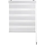 dvojni rolo pol prosojno 140/160 cm