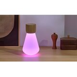 Gingko Prigušiva stolna lampa u prirodnoj boji (visina 19 cm) Pentagon - | shoptok.hr