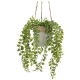 Casa Selección Umetna rastlina (višina 34 cm) – | Shoptok.si