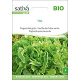 Sativa Bio zelena solata "Till" Cene