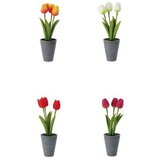  TULIPANI 8*26,5CM PVC 77159 | Eponuda.ba