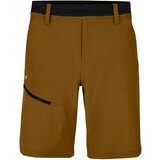 Salewa Men's Shorts Puez 3 DST M Shorts Golden Brown M | Shoptok.si