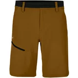 Salewa Men's Shorts Puez 3 DST M Shorts Golden Brown M