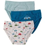 Lucky Kiddo gaćice slip 3 kom LK-BS 225 M šareno 110/116 | shoptok.hr