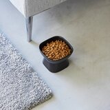 YAMAZAKI Keramična posoda za hrano za hišne ljubljenčke Tower – | Shoptok.si