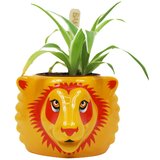 Half Moon Bay Harry Potter - Saksija - Harry Potter, Gryffindor, Shaped | Eponuda.com