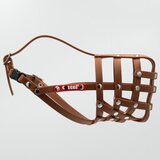  COLORI® 2.0 brnjica za ovčare M, svijetlo smeđa - Veličina 6 Cijene