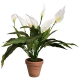  Umjetna biljka (Visina: 50 cm, Bijele boje, Plastika)