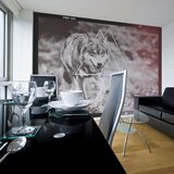  Tapeta - wolf - photo 400x309 Cijene