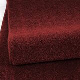 Ayyildiz Carpets Bordo rdeča preproga 80x150 cm Ata – | Shoptok.si