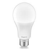 Braytron LED Sijalica A65 16W E27 3000K BA13-01620 | Eponuda.com