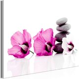  Slika - Calm Mallow (1 Part) Wide Pink 90x60 Cijene
