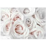  Samoljepljiva foto tapeta - Satin Rose (Pink) 392x280 | shoptok.hr