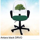 Olimp Sport Dečija stolica Antara Drvo | ePonuda.com