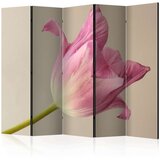  Paravan u 5 dijelova - Pink tulip II [Room Dividers] 225x172 Cijene