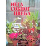  Nega sobnog cveća postupni prikaz | Eponuda.com