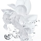 Dior Hydra Life Fresh Sorbet Creme vlažilna krema 50 ml | Shoptok.si
