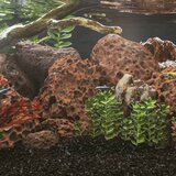 vidaXL Vulkanski kamen 25 kg rdeč 10-30 mm | Shoptok.si