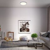 BRILONER 3704-014-LED prigušiva stropna svetiljka runa LED/22W/230V srebrna + daljinski upravljač | Eponuda.com