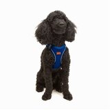 Paws & Whiskers Am za pse Air-Mesh, Plavi | Eponuda.ba