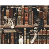 Zuty Barvanje po številkah Mačka v knjižnici