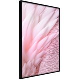  Poster - Pink Feathers 30x45 | shoptok.hr