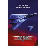 Grupo PLAKAT TOP GUN THE NEED FOR SPEED, (20837042) | Shoptok.si