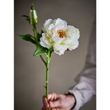 Bloomingville Umjetna biljka (visina 62 cm) Peony – | shoptok.hr