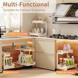 HASA ZONE L organizator pod koritom z 2 nivoji | Shoptok.si