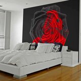  Tapeta - Transformation 400x309 Cijene