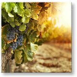  Slike na platnu kuhinja (moderne slike na platnu) | ePonuda.com