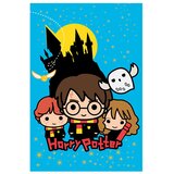 HARRY POTTER odeja | Shoptok.si