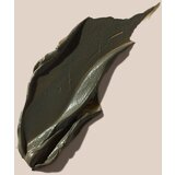 Ahava deadsea mud dermud nourishing body cream mineralno blato iz mrtvega morja 400 g | Shoptok.si