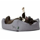 Hunter Krevet Boston sivi 60x50 cm Cene