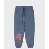 Sinsay Pamučne jogger hlače Spider-Man Cijene