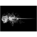  Tapeta - rose (smoke) 200x154 | shoptok.hr