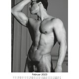 OV-Grosshandel Erotični stenski koledar Cocks 2023 (R180700) | Shoptok.si