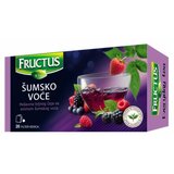 Fructus ČAJ ŠUMSKO VOĆE EVERYDAY 50G | Eponuda.com