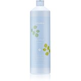EchosLine Balance Shampoo šampon za čišćenje protiv peruti 1000 ml Cijene