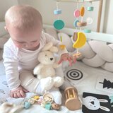 Classic World pastel baby set box first toys od 0 - 6 mjeseci | shoptok.hr