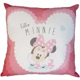minnie multicolour