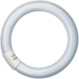 Osram fluorescentna žarulja (T9, hladna bijela, 32 w, duljina: 30 cm)