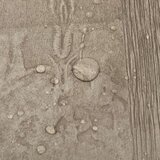  Samoljepljive podne obloge 20 kom PVC 1 86 m² sive | shoptok.hr