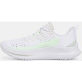 Under Armour Women's shoes UA W Velociti 4 - Women's | Eponuda.ba
