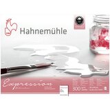 Hahnemühle Expression akvarel papir | Različite veličine | Različite veličine | shoptok.hr