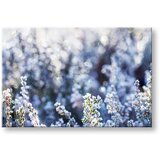  Slike na platnu cveće | ePonuda.com