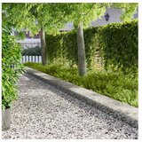 vidaXL Ograda oko Travnjaka 20 kom. 100 x 22 cm Čelik Srebrna - Pocinčani čelik 20 22 cm | shoptok.hr