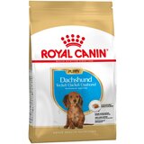 Royal Canin Ekonomično pakiranje: Breed - Dachshund Puppy (2 x 1.5kg) Cijene