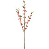 Mömax Umetna Rastlina Cranberryzweig I | Shoptok.si