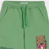Sinsay Kratke hlače Jurassic World | shoptok.hr